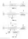 Fig. 02 - Intelligent SPD control apparatus with scalable networking capabilities for window and multimedia applications