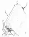 Fig. 02 - Microwave transmission unit including lightning protection