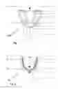 Fig. 02 - Apparatus for Producing Dental Impressions