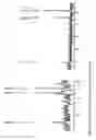 Fig. 07 - Method for detecting kinase activity with thiol reactive fluorescent reagents