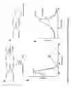 Fig. 22 - Method for detecting kinase activity with thiol reactive fluorescent reagents