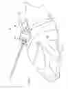 Fig. 07 - Remote control stream dispensing toy