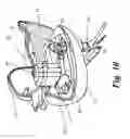 Fig. 09 - Self-propelled toy duck