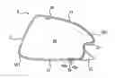 Fig. 01 - Golf club head