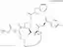 Fig. 749 - Macrocyclic inhibitors of hepatitis C virus replication