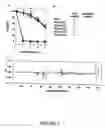 Fig. 07 - Bcl-w structure and uses therefor