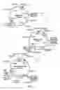 Fig. 02 - Methods of affecting feeding and weight in mammals by administration of relaxin-3