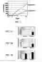 Fig. 03 - Composition and Method for Treatment and Prevention of Restenosis