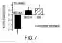 Fig. 08 - Protein synthesis required for long-term memory is induced by PKC activation on days preceding associative learning