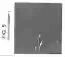 Fig. 05 - Polypropylene composition for air quenched blown films