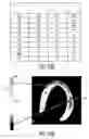 Fig. 12 - Ultrasonic imaging system and method for simulataneous display of blood flow and perfusion parameters