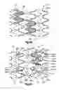 Fig. 04 - Stent with pockets for containing a therapeutic agent
