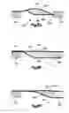 Fig. 12 - Stent with pockets for containing a therapeutic agent