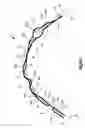 Fig. 19 - Stent with pockets for containing a therapeutic agent