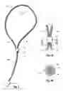Fig. 02 - Adjustable decorative bookmark