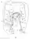 Fig. 02 - Semi-powered lower extremity exoskeleton