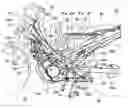 Fig. 01 - Saddle-riding type vehicle