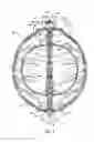 Fig. 04 - Brassiere cleaning and storage container