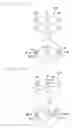 Fig. 19 - Filter element