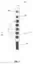 Fig. 03 - Virtual display with motion synchronization