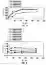 Fig. 04 - Therapeutic liposomes