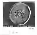 Fig. 06 - Tissue treatment
