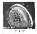 Fig. 08 - Tissue treatment