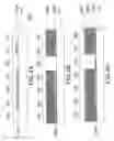 Fig. 08 - Mask and manufacturing method thereof