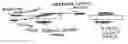Fig. 01 - Positive resist composition and pattern-forming method using the same