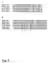 Fig. 04 - Methods for detecting toxic and non-toxic cyanobacteria