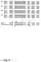 Fig. 05 - Methods for detecting toxic and non-toxic cyanobacteria