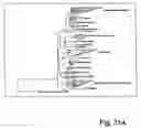 Fig. 43 - Methods for detecting toxic and non-toxic cyanobacteria