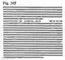 Fig. 65 - Methods for detecting toxic and non-toxic cyanobacteria
