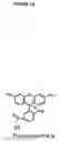 Fig. 02 - Fluorescence energy transfer probes with stabilized conformations