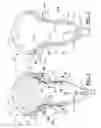 Fig. 02 - Lacrosse head