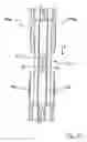 Fig. 09 - Toothed wheel of a bicycle drivetrain