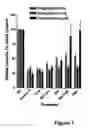 Fig. 08 - Methods for treating lower urinary tract disorders using alpha2delta subunit calcium channel modulators with smooth muscle modulators