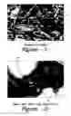 Fig. 02 - Silica-containing nucleating agent compositions and methods for using such compositions in polyolefins