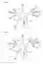 Fig. 02 - Amphiphilic triblock copolymers comprising poly(2-vinylpyridine) block and poly(alkyl isocyanate) block, and the preparation method thereof