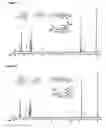 Fig. 02 - Novel polyarylate and method for preparing thereof