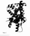 Fig. 02 - Protein crystal