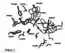 Fig. 04 - Protein crystal