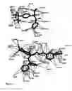 Fig. 05 - Protein crystal