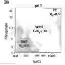 Fig. 05 - Method of weak partitioning chromatography