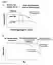 Fig. 08 - Method of weak partitioning chromatography