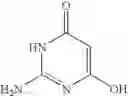 Fig. 43 - Process for the synthesis of pyrazolopyrimidines