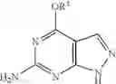 Fig. 46 - Process for the synthesis of pyrazolopyrimidines