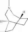 Fig. 613 - Alkoxy substituted imidazoquinolines