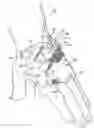 Fig. 01 - PIV dressing assembly