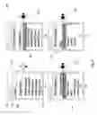 Fig. 10 - Managing sponsored content for delivery to mobile communication facilities